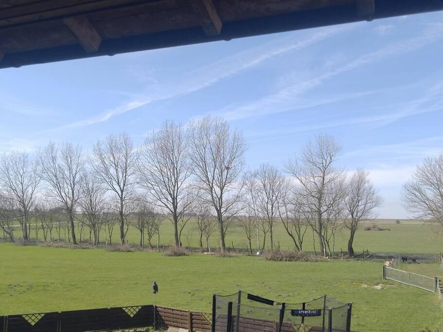 Appartamento Erholung Auf Der Deichschaeferei Mit Deichblick Schillig Esterno foto